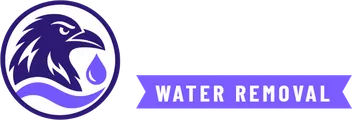Raven Water Removal