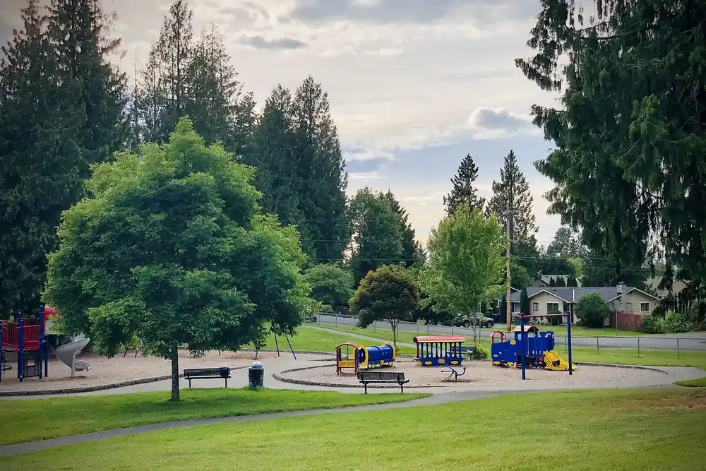 Playground and lawn at Cedarview Park among evergreens in Bonney Lake, Washington