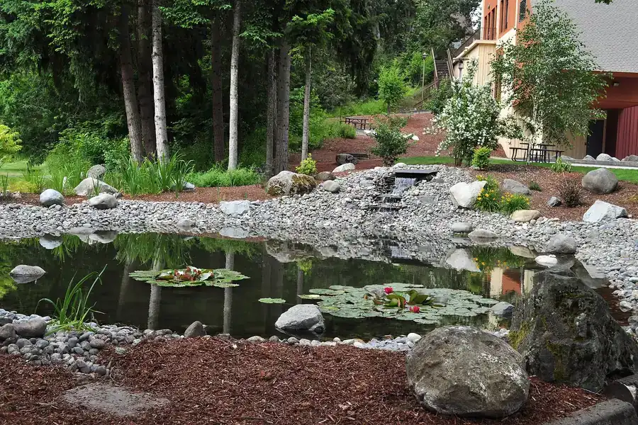 Rock-lined garden pond with water lilies on the Pacific Lutheran University campus in Parkland, Washington