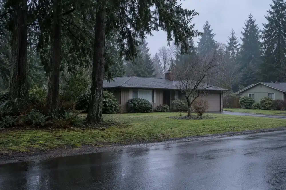 Illustration of a typical residential street in the Spanaway, WA area