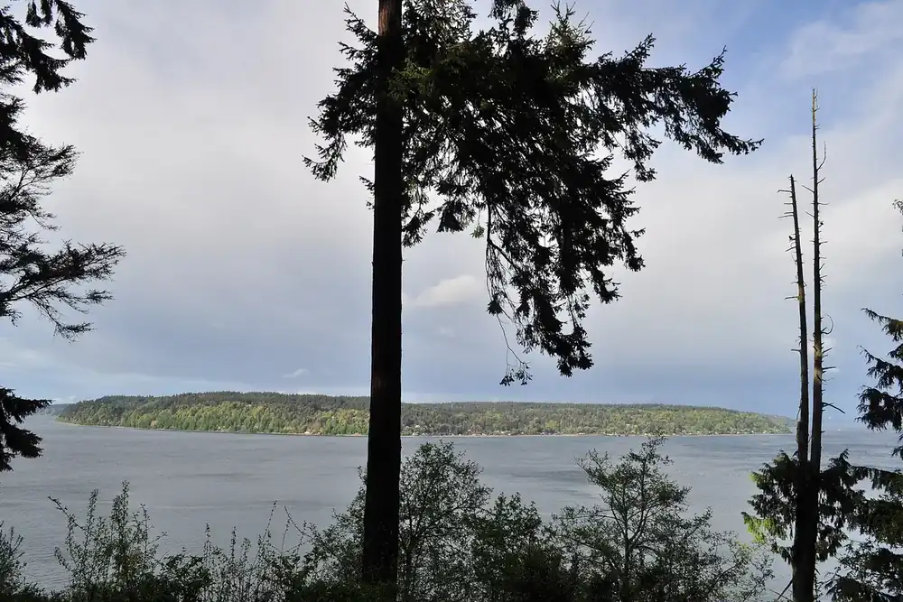 Vashon Island across the water seen between tall evergreen trees, Washington